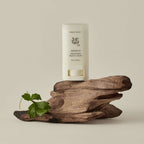 Protector Beauty Of Joseon Camelia Barra